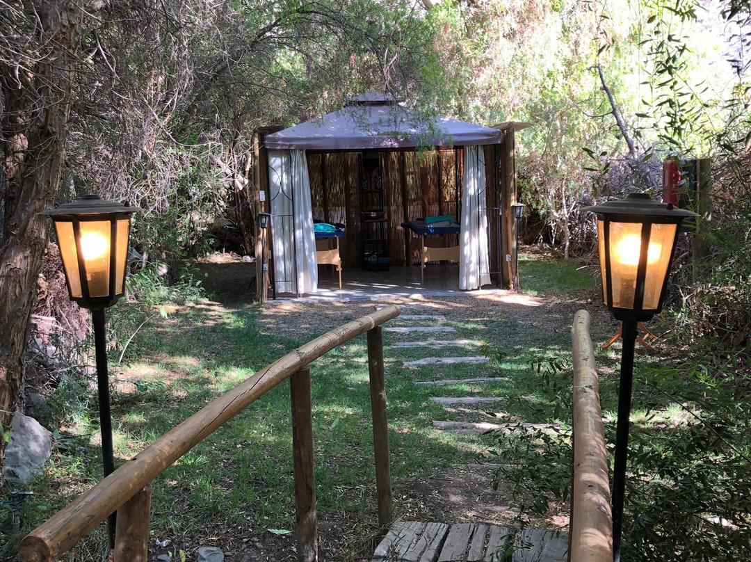 Organica Lodge Spa主图