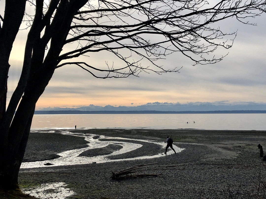 Picnic Point Park-埃德蒙兹必去景点