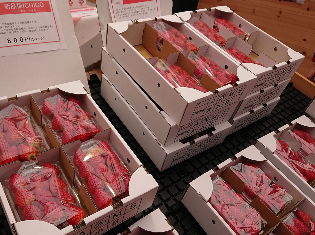 ICHIGO WORLD-山元町必去景点