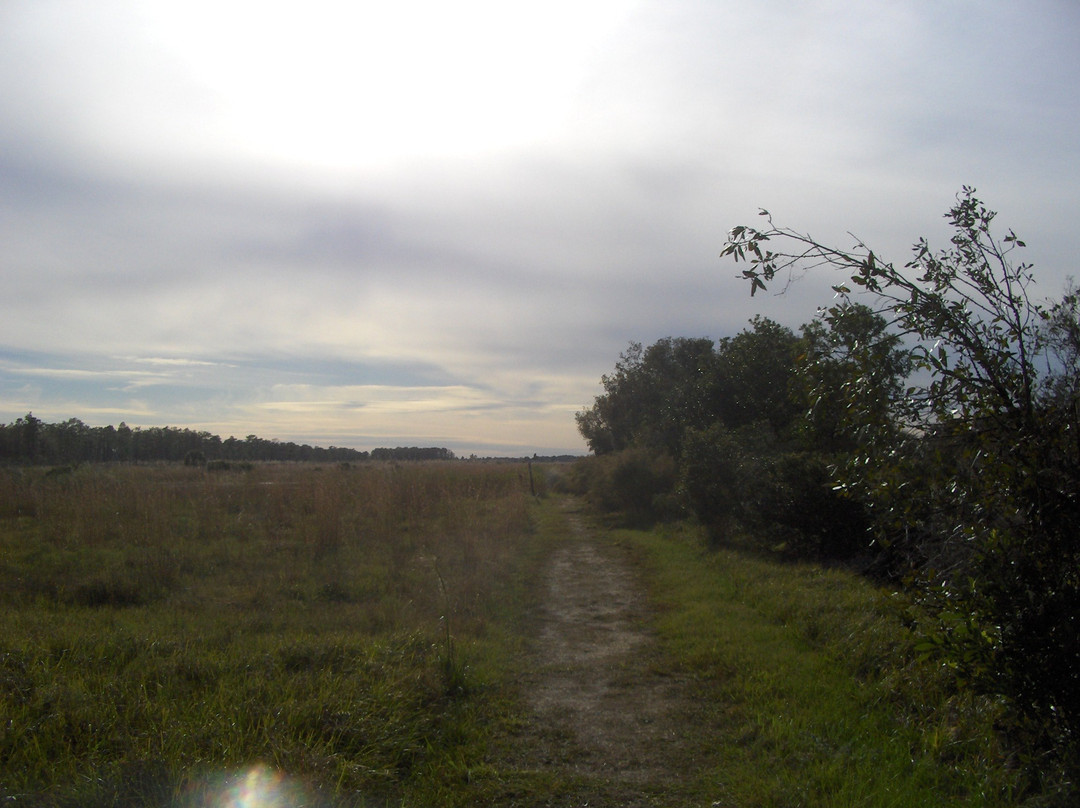 The Disney Wilderness Preserve-基西米必去景点