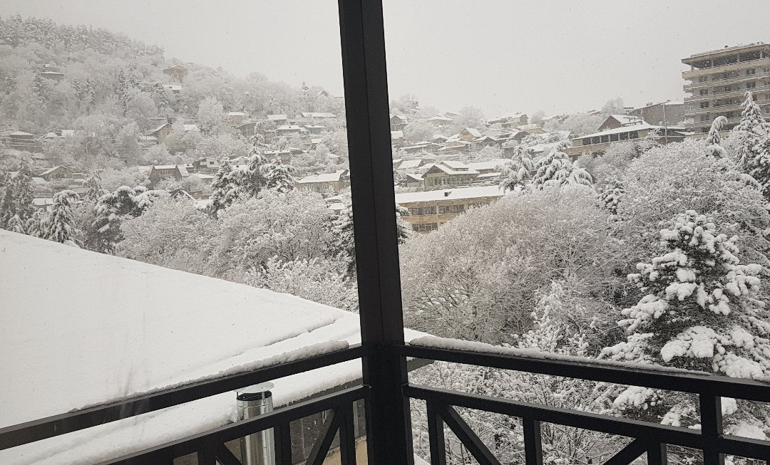 Paradise Borjomi Hotel主图