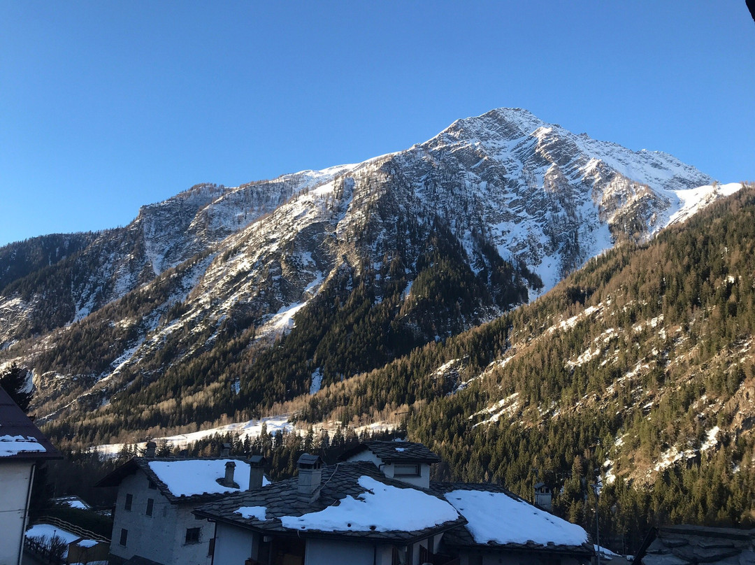 特里欧蕾酒店主图