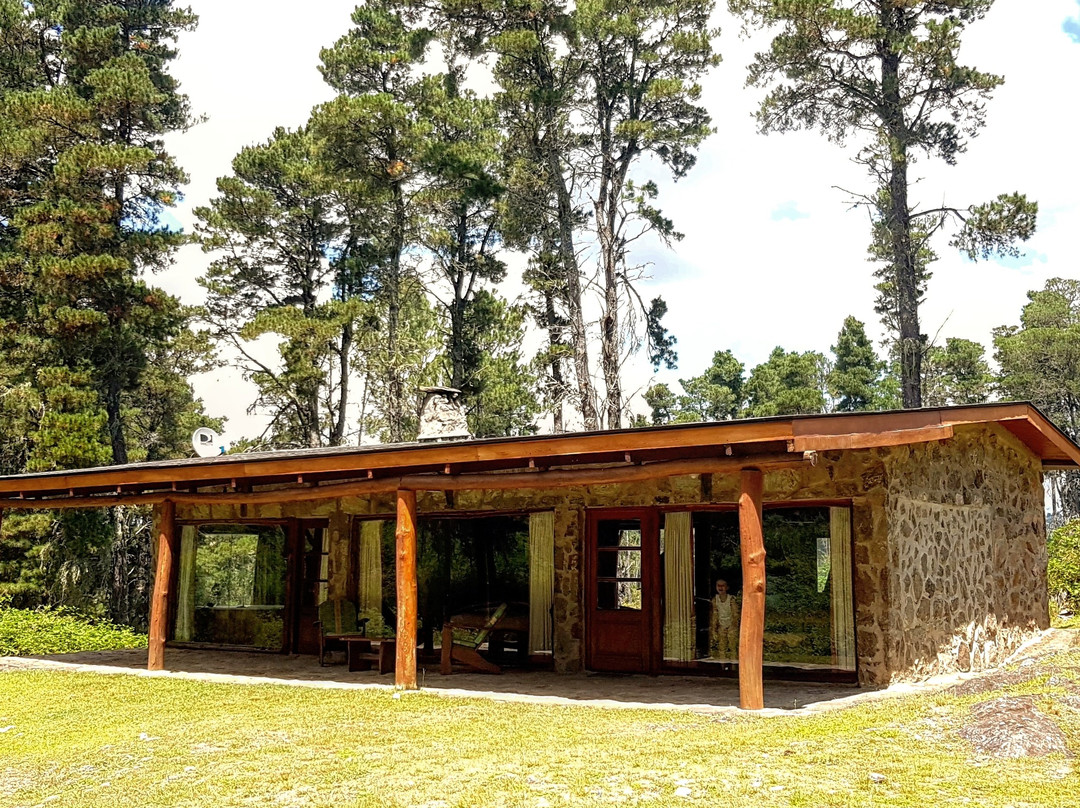 Estancia Las Canitas主图