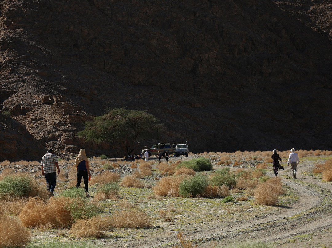 Dabuka Travel Visions-开罗必去景点