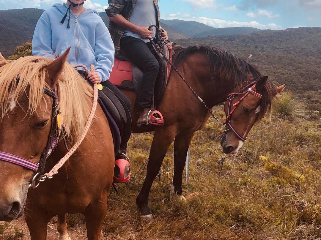 Blazing Saddles-Aireys Inlet必去景点