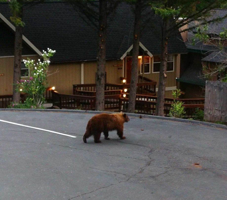 Mountain Retreat Homeowners Association主图