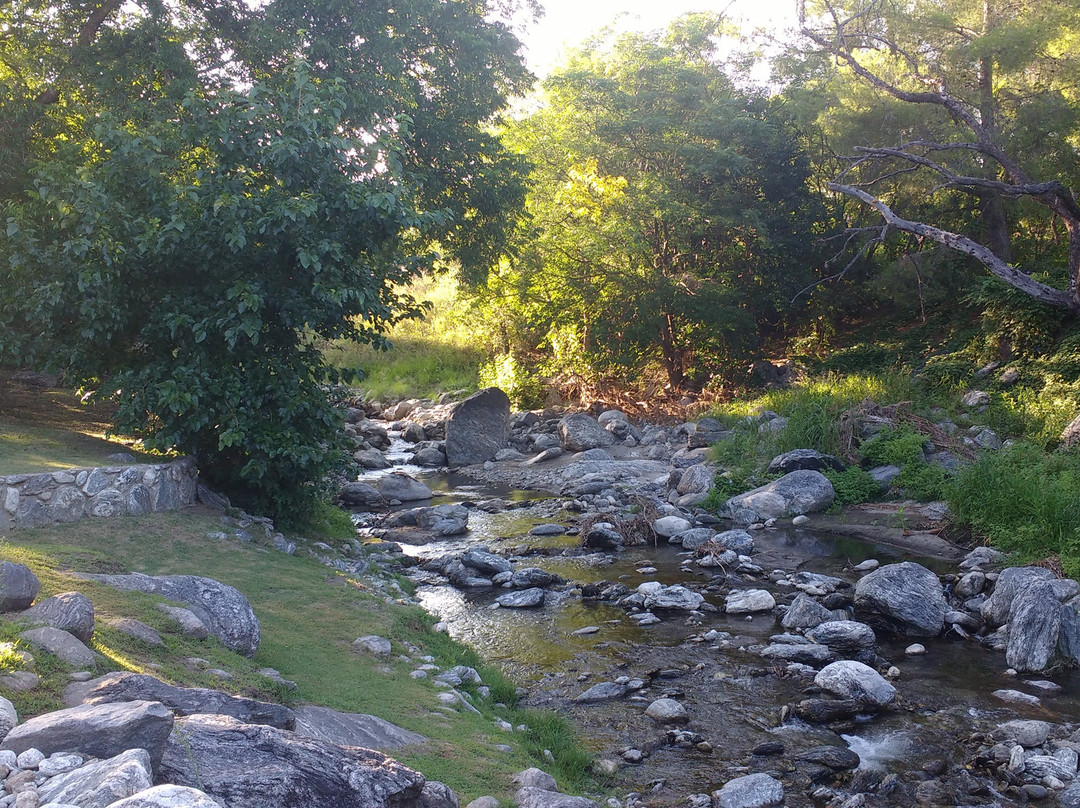 Puesto Victoria主图