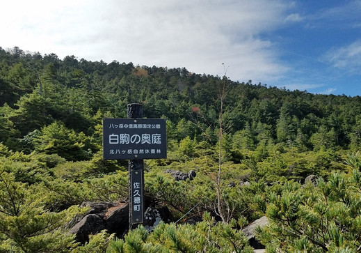 Shirakoma no Okuniwa-佐久穗町必去景点
