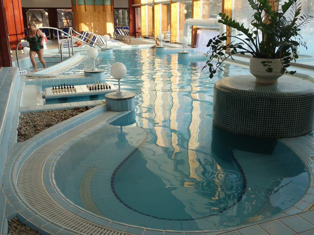 Danubius Hotel Bük主图