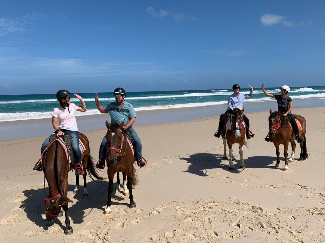 Tassiriki Ranch Beach Horse Riding & Holiday Cabins景点图片