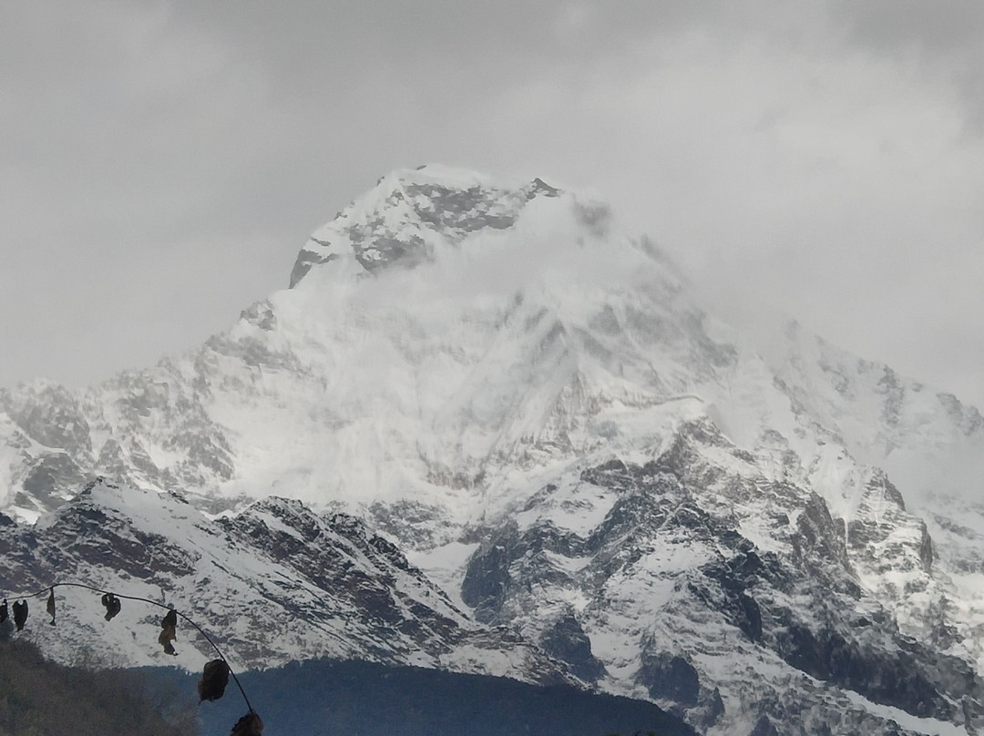 Nepal for Treks P. LTD景点图片