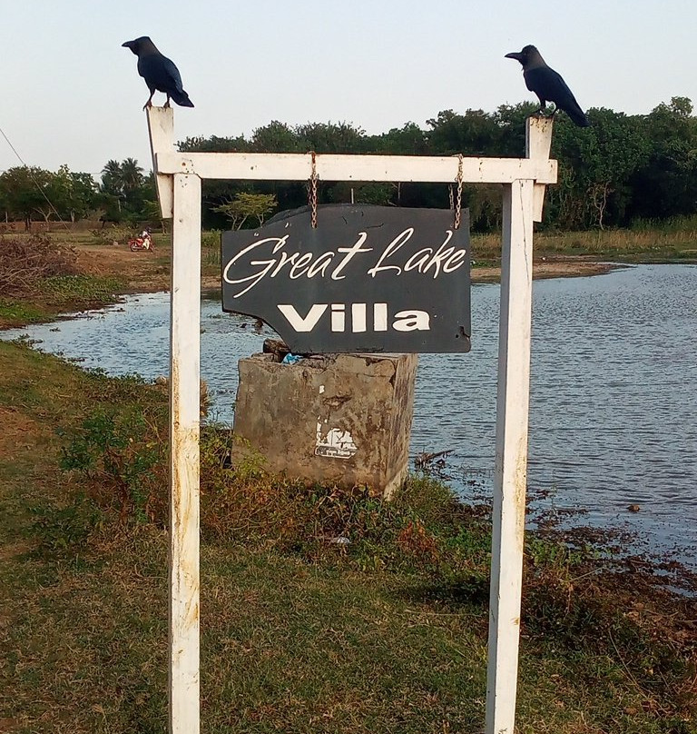 Great Lake Villa主图