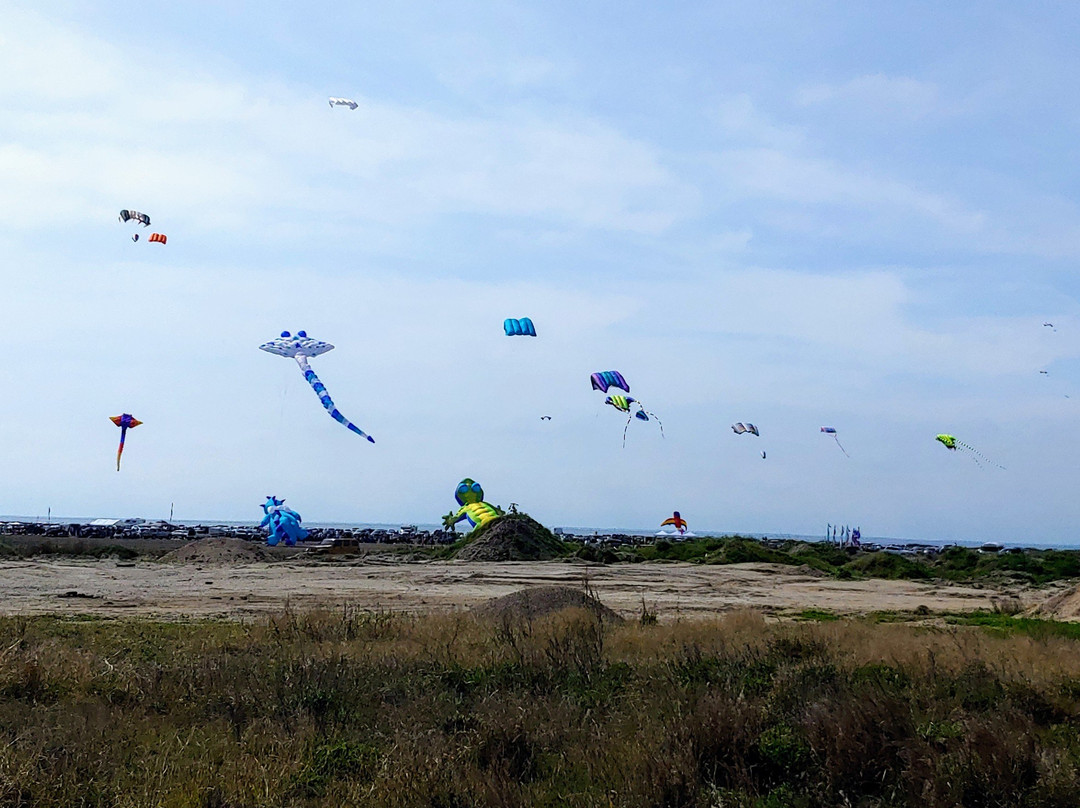 South Padre Island Convention Centre-南帕诸岛必去景点