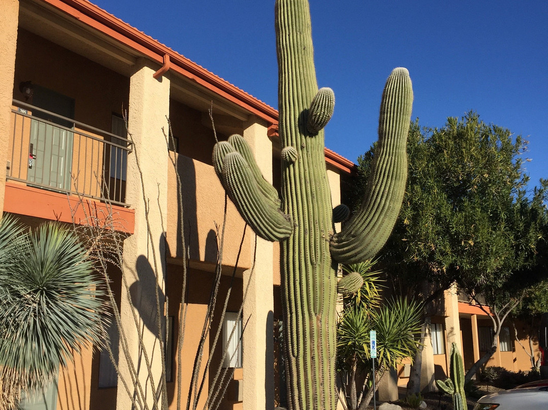 品质旅馆&套房酒店主图