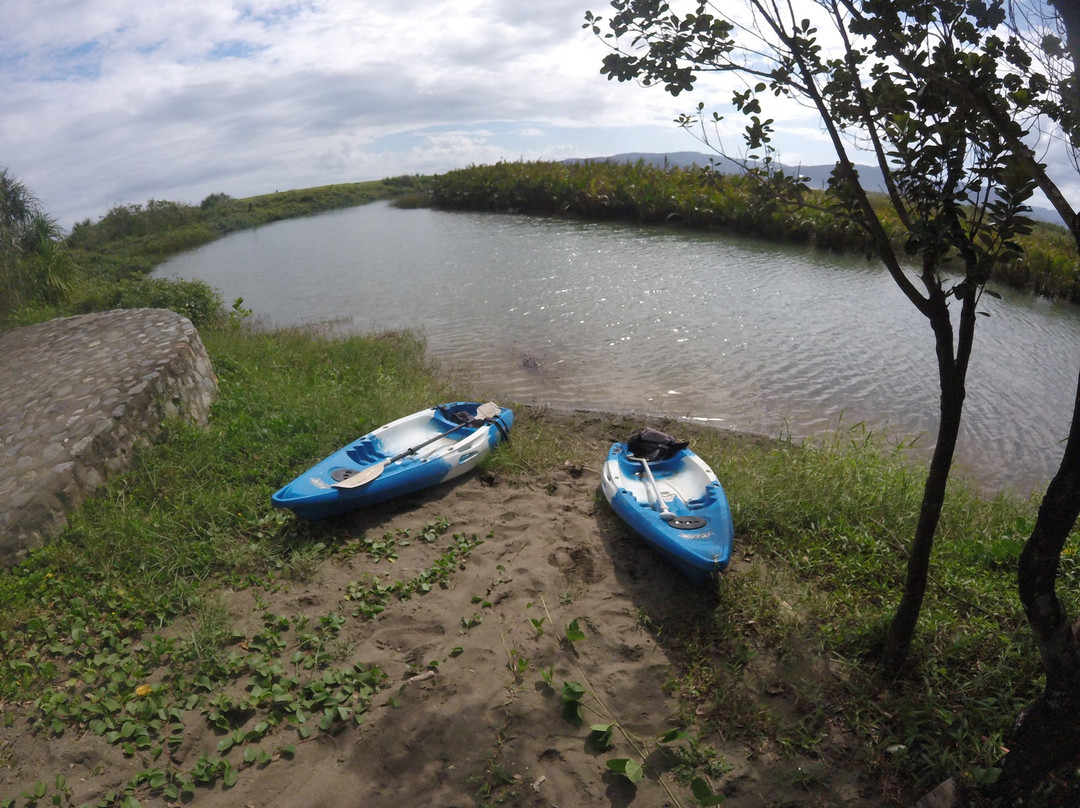 The Easy Adventure主图