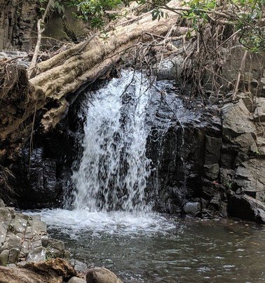 Boruca Gallery Gift Shop-Boruca必去景点