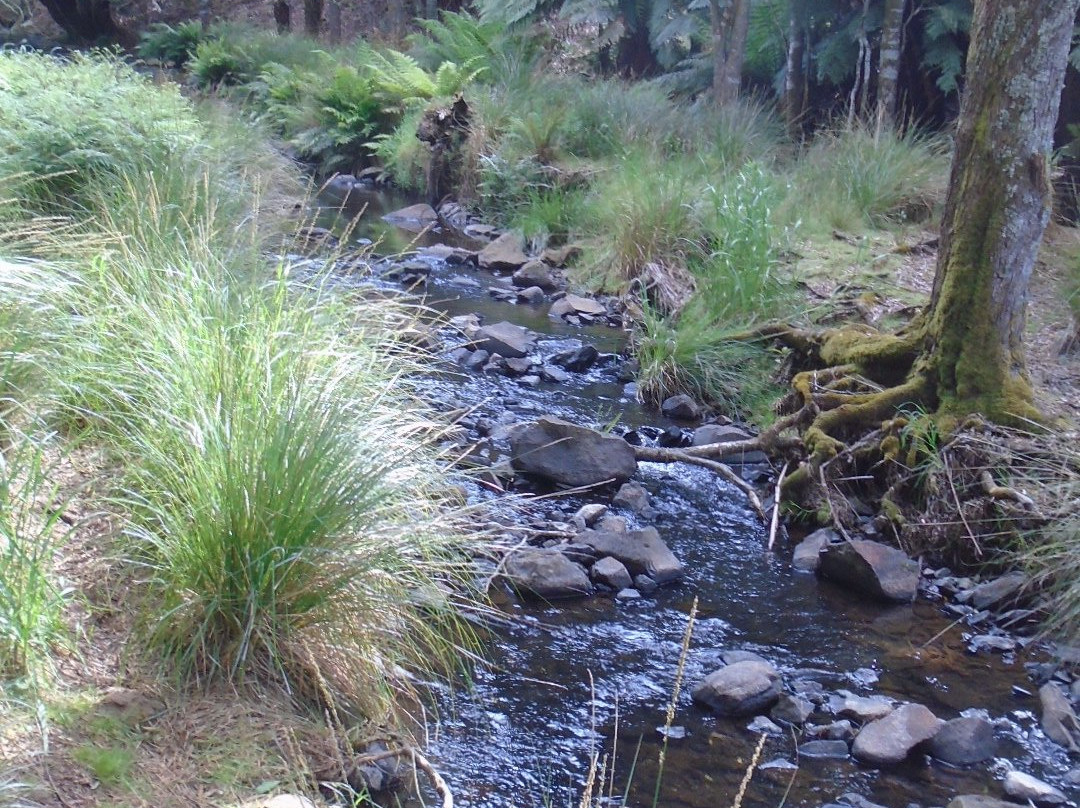 Preston Falls-Ulverstone必去景点