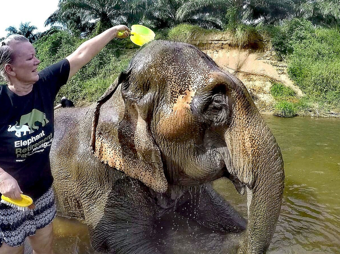 Elephant Retirement Park Phang Nga景点图片