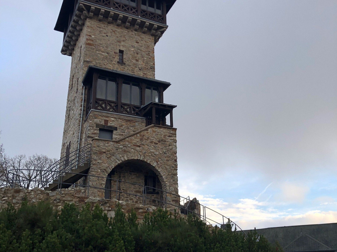 Herzbergturm-巴特洪堡必去景点