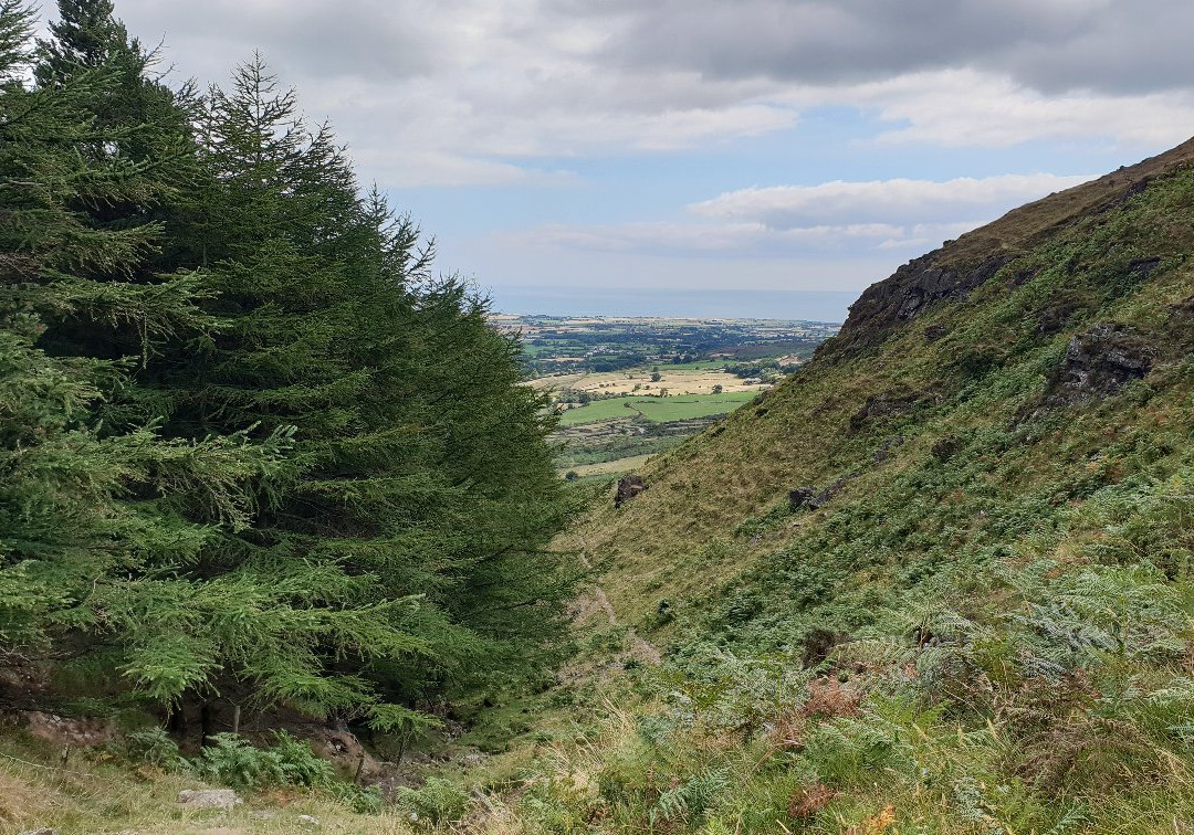 Slieve Foye Woods-Carlingford必去景点