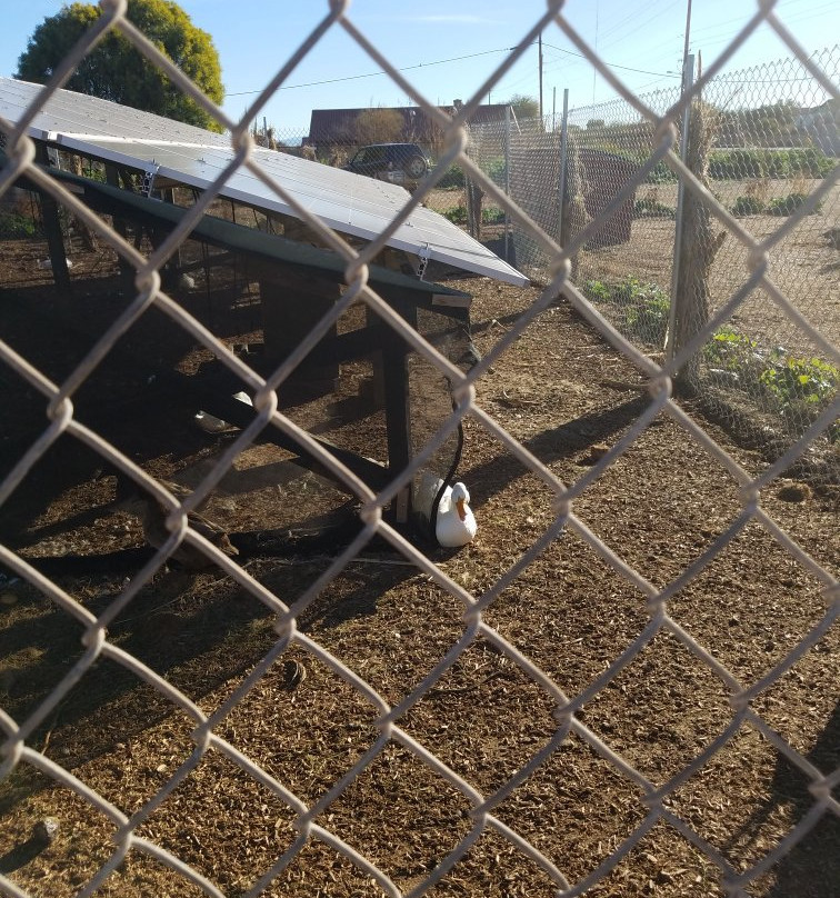 Rhibafarm-San Tan Valley必去景点