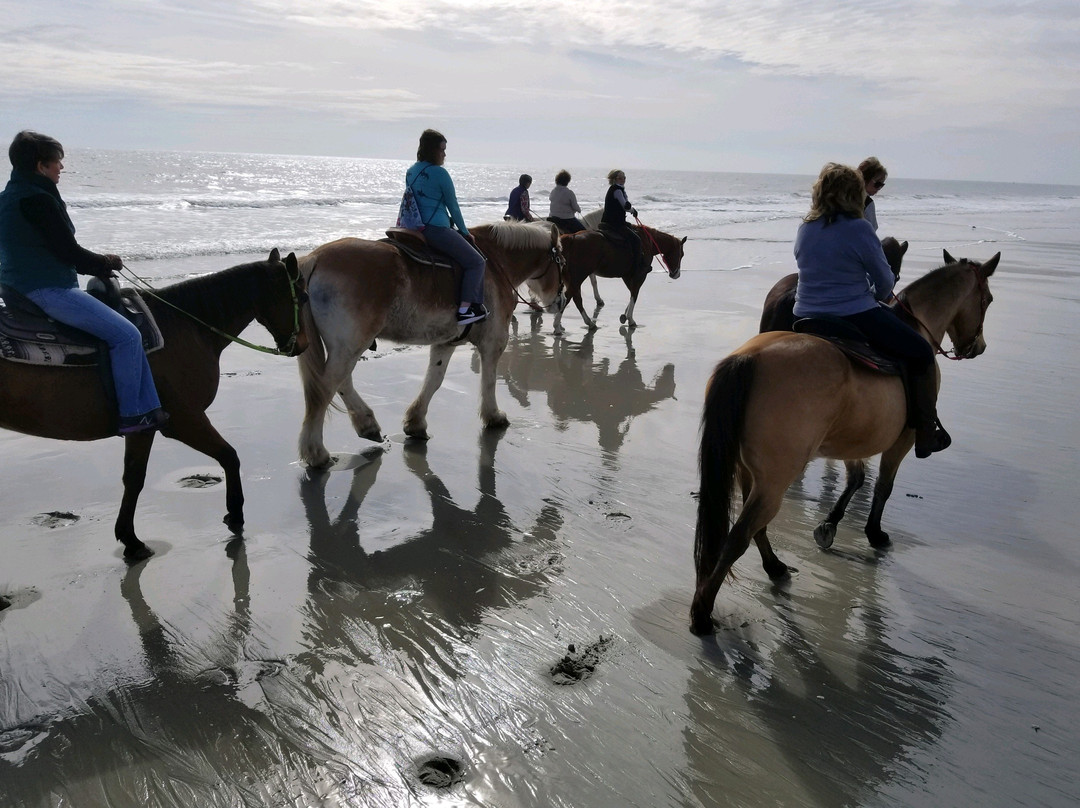 Grand Strand Horseback Riding景点图片