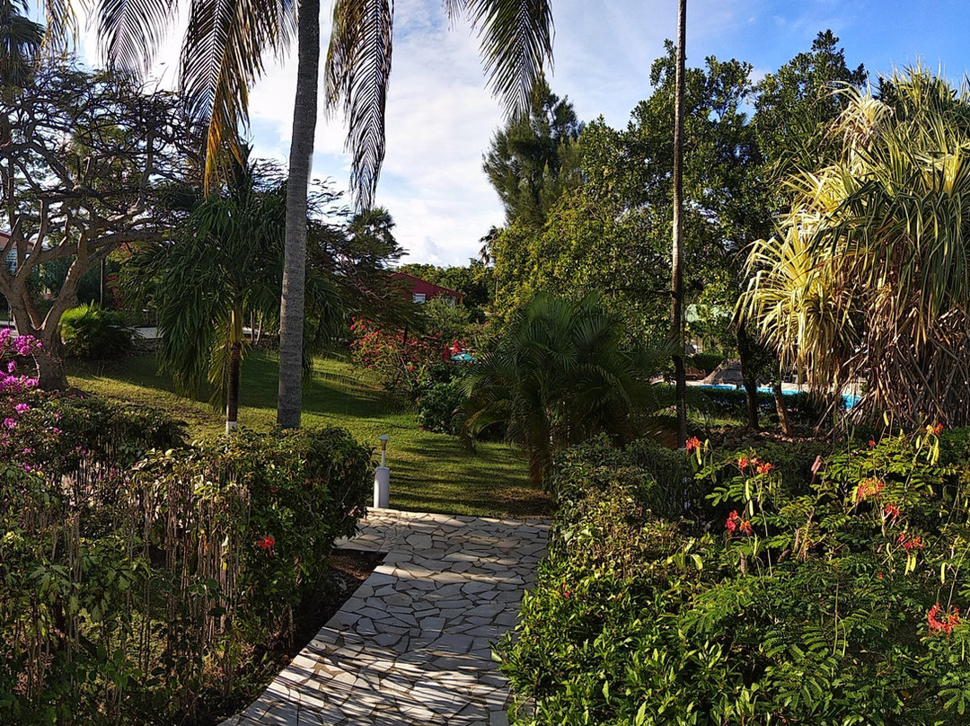 Village de Menard主图