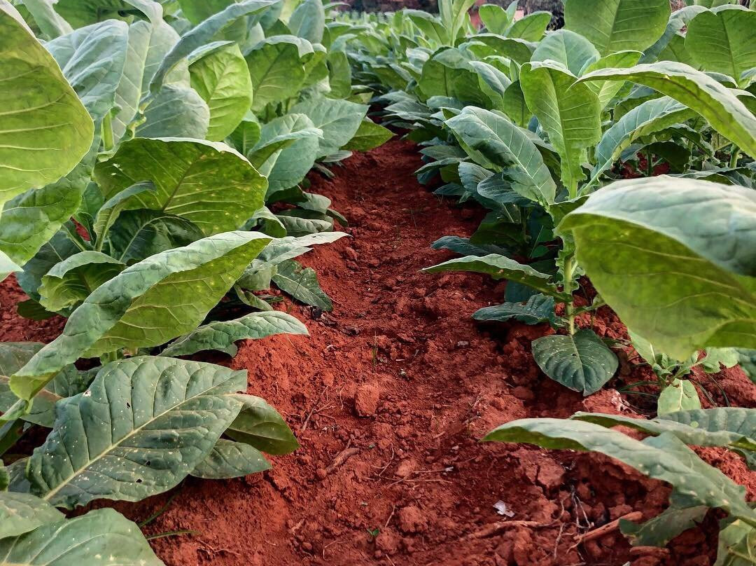 Step In The Valley-维纳勒斯必去景点