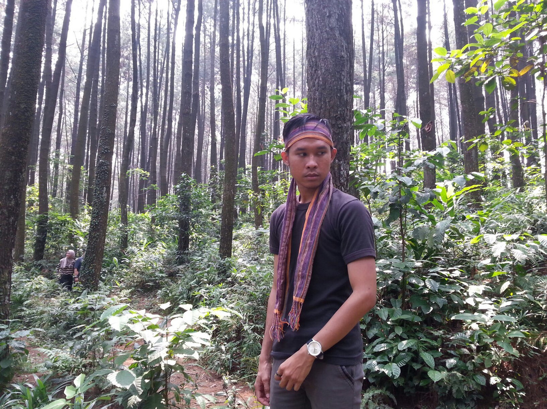 Mount Pancar Park-茂物必去景点