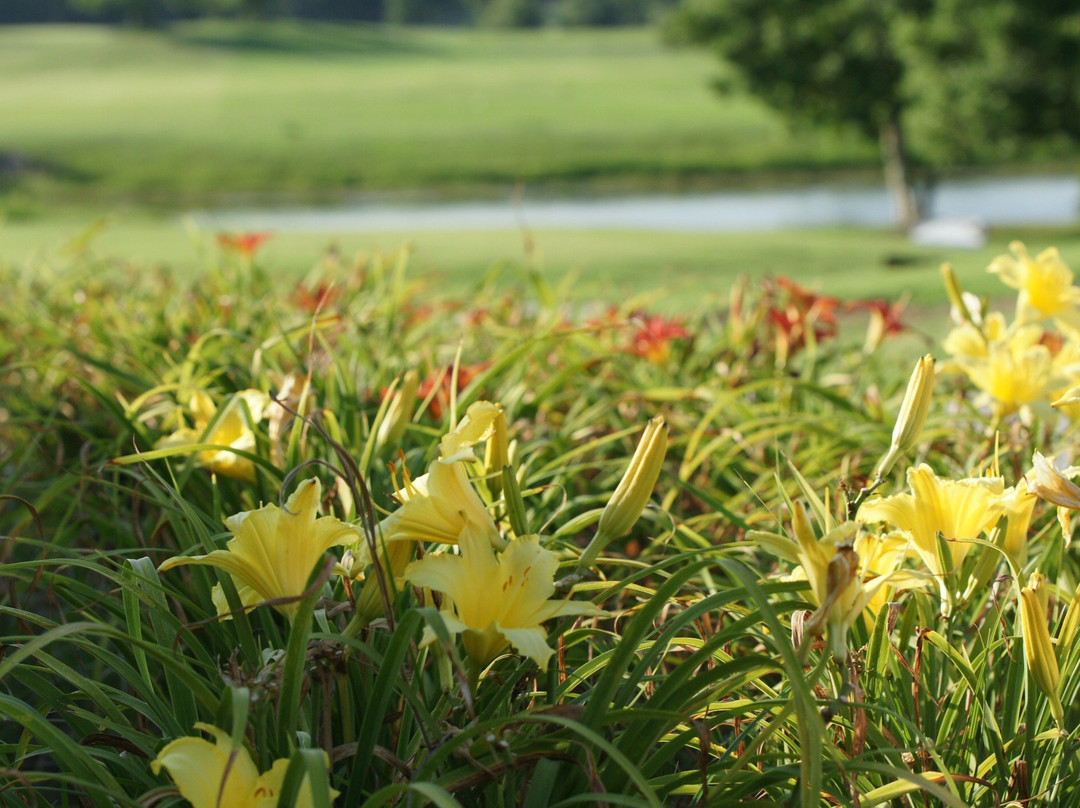 Country Club of South Carolina-佛罗伦萨必去景点