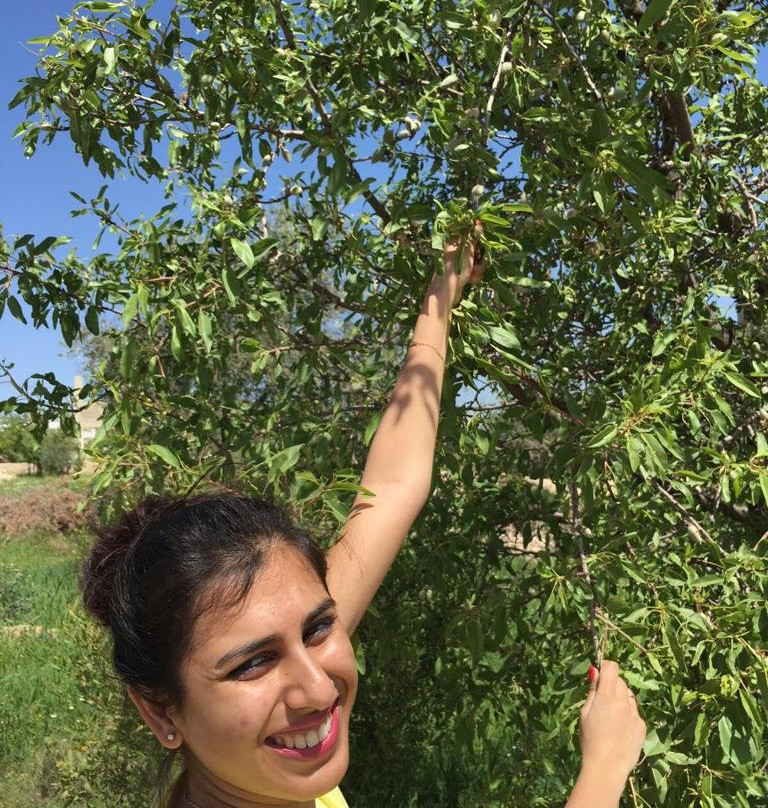 阿杰隆古堡-Ajlun必去景点