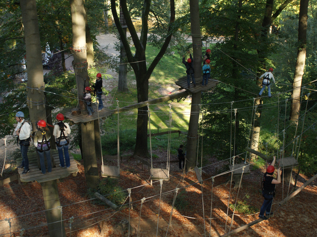 Teammotion Kletterwald Nettetal景点图片