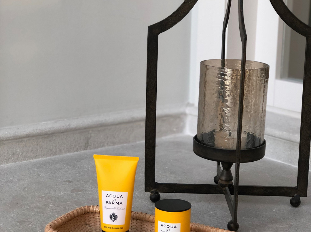 奥拉夫亚酒店主图