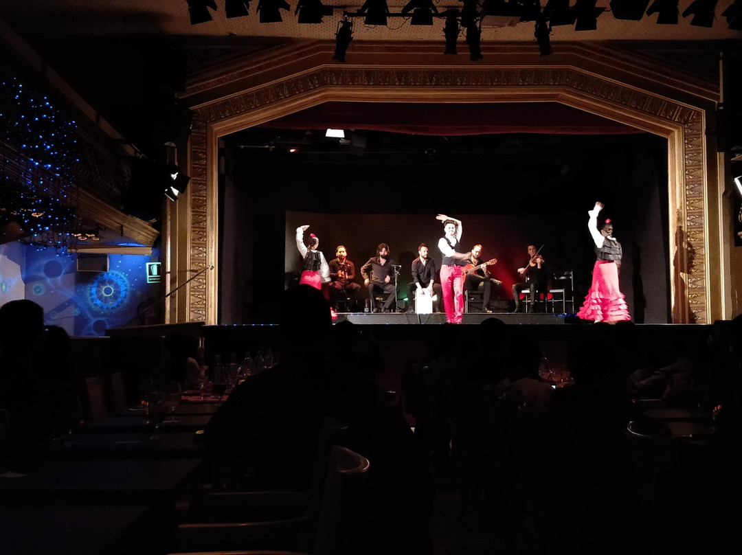 Palacio del Flamenco 剧场景点图片