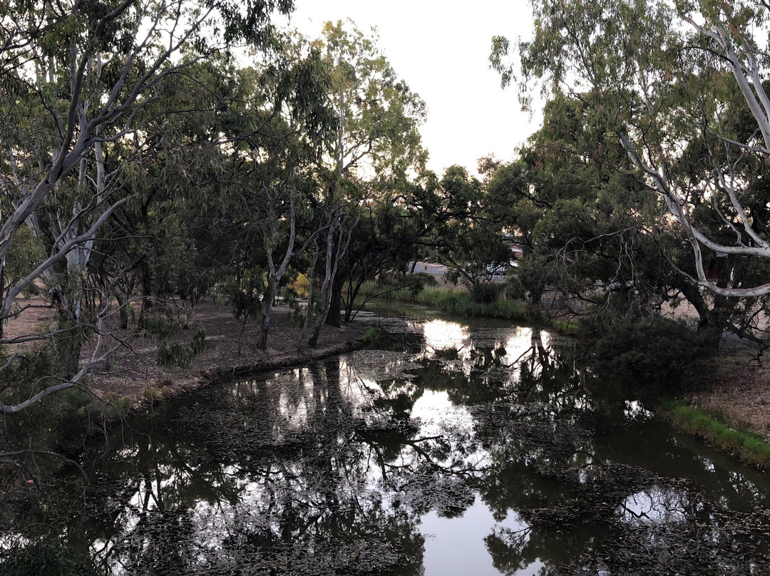 Apex Island Adeventure Playground