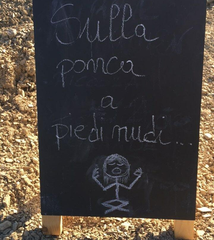 Vino e Sapori FVG-乌迪内必去景点