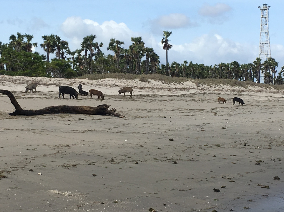 Sumba Adventure Resort主图