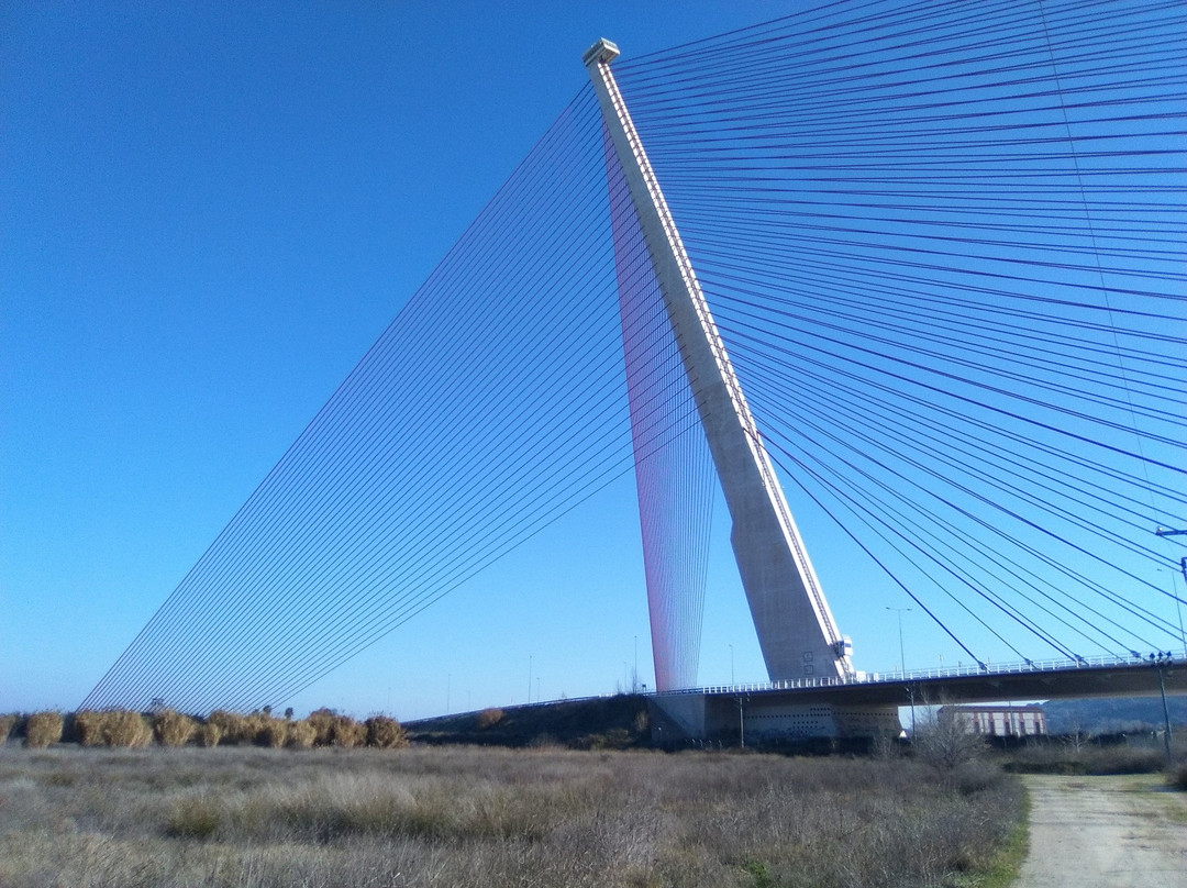 Castilla-La Mancha Bridge景点图片