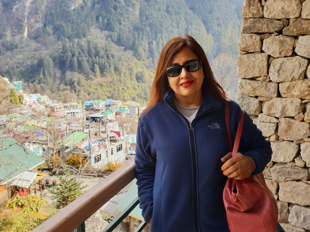 The Apple Orchard Resort主图