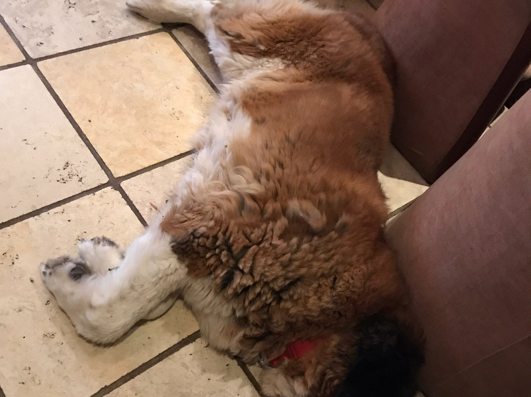 Mont Helmos Hotel主图