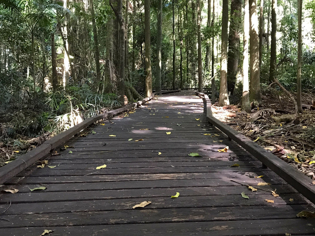 Victoria Park Nature Reserve景点图片