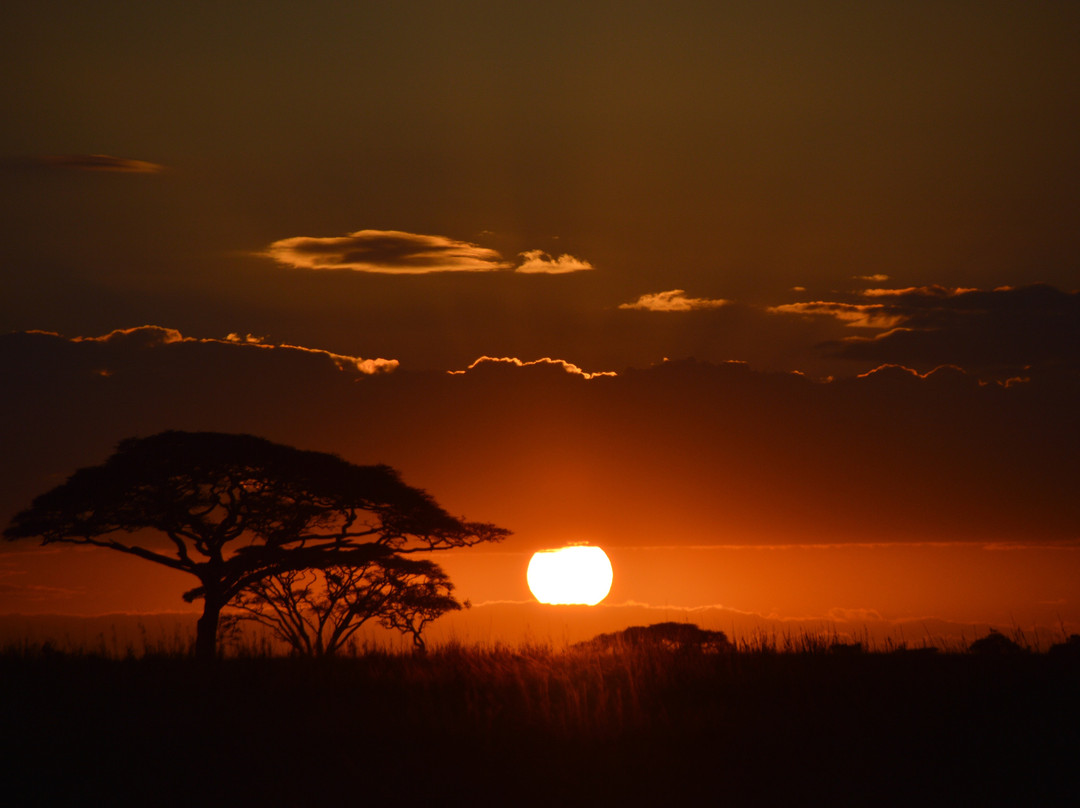 Fair Travel Group Tanzania-阿鲁沙必去景点