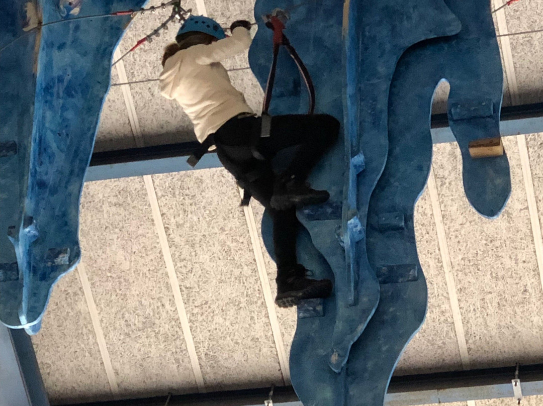 Indoor Ropes Park-格林德瓦必去景点