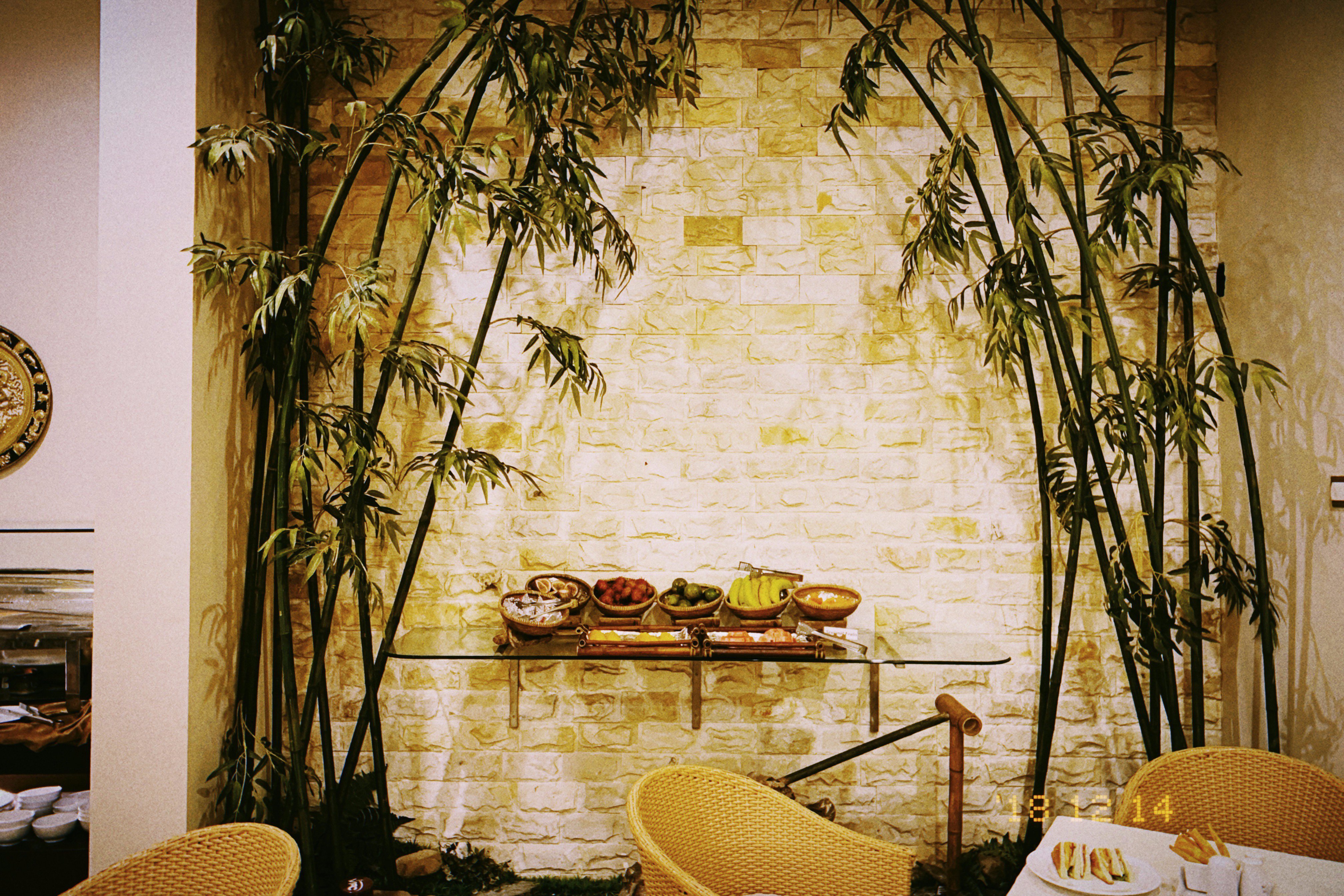 ORCHID HOTEL-餐饮