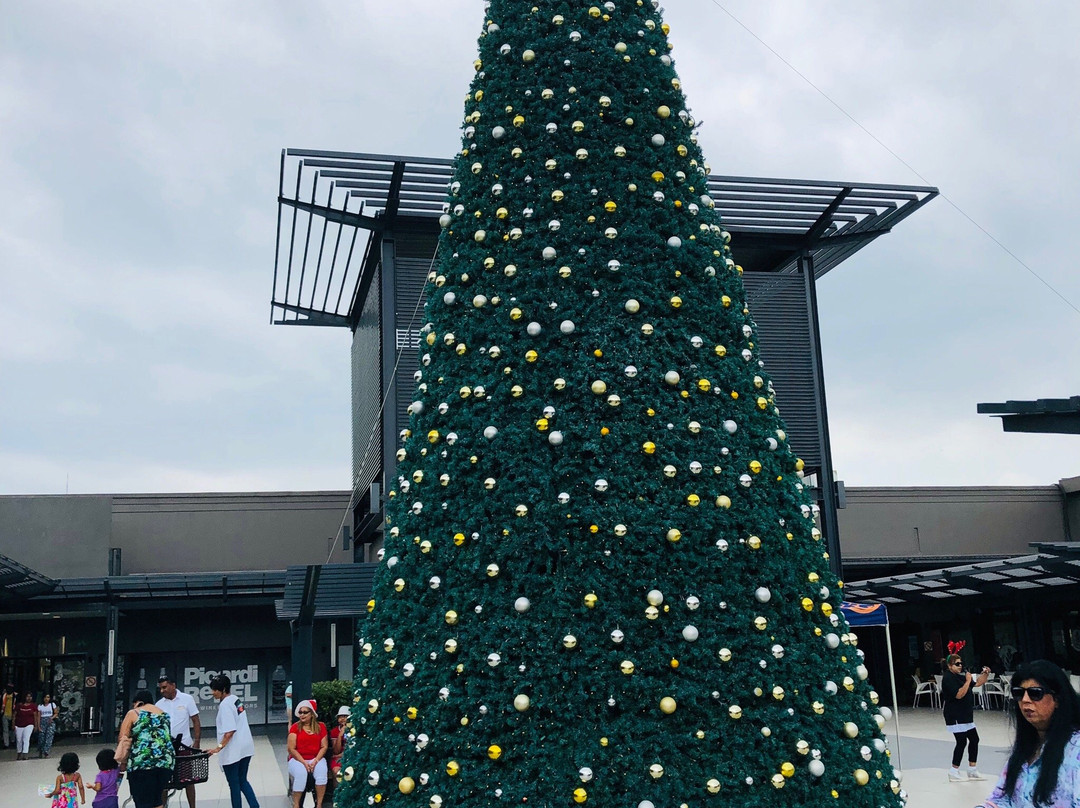 Cascades Lifestyle Centre-彼得马里茨堡必去景点