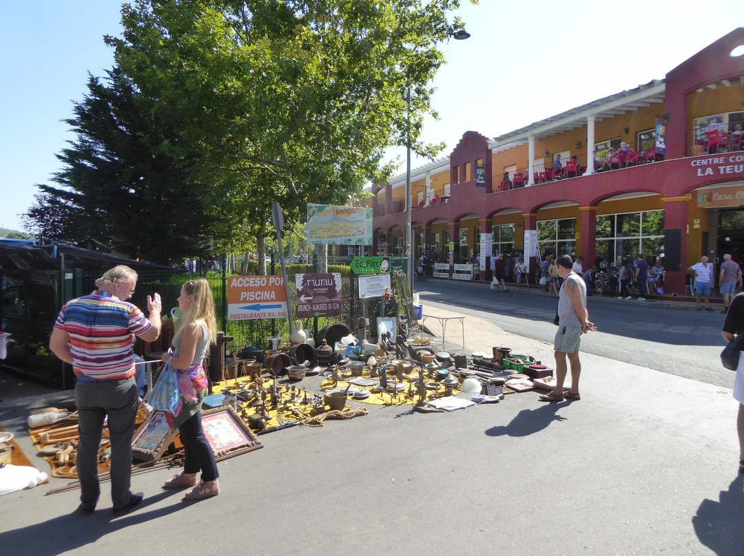 Mercadillo de Jalon景点图片