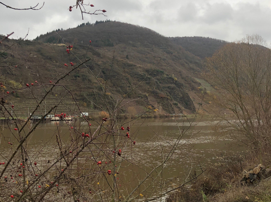 Hotel Weinhaus Fuhrmann主图