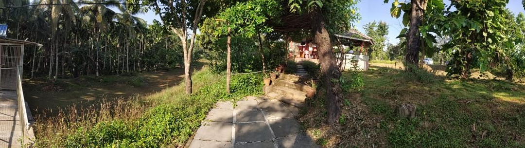 Bakula Home stay主图