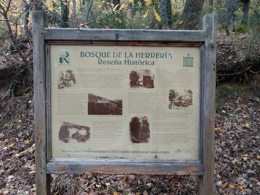 Bosque de la Herreria景点图片