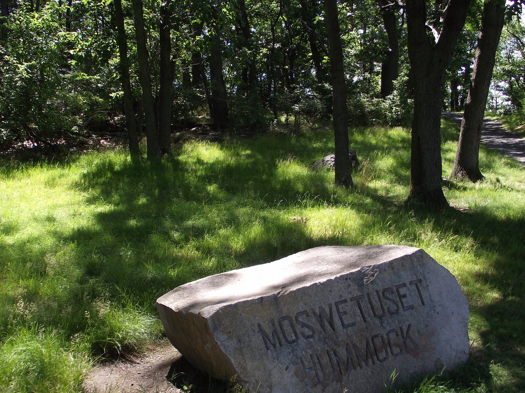 The Moswetuset Hummock-昆西必去景点